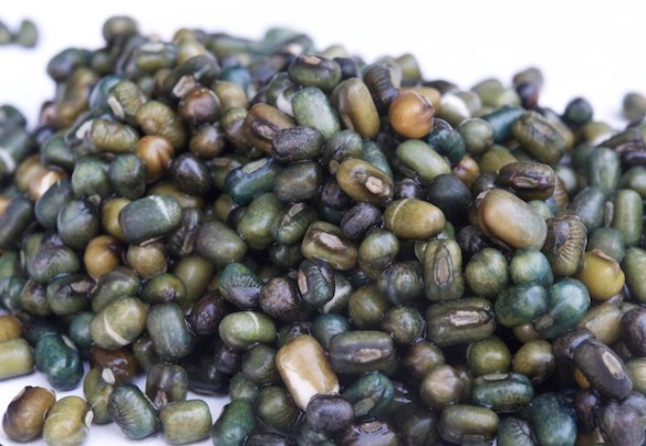 whole black lentils after 8 hours soaking time