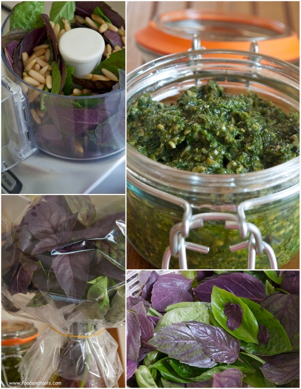 Purple and Green Basil. Basil Pesto in a Jar.