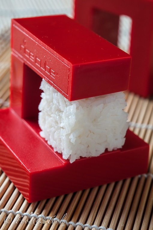 Rice Cube-0021