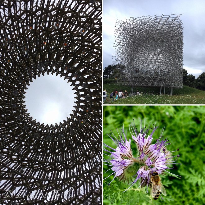 The Hive at Kew Gardens-8209